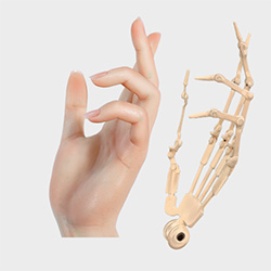 Articulated Fingers (FREE)