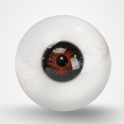 Brown Eyes With Veins
