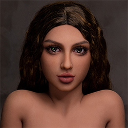 EVO (Free)